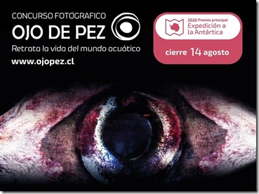 ojo-de-pez2020-53 - copia (2)