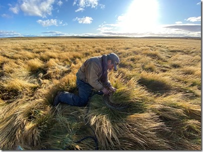 Recursos forrajeros frente al cambio climático