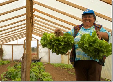 Cooperativa de Consumo Responsable de Valdivia “La Manzana