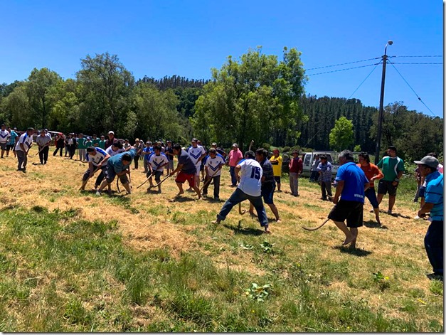 Rogativa Mapuche y Encuentro de Palín Panguipulli 75 años 1