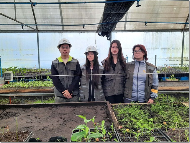 Carlos Barrientos, Constanza Alarcón, Juilete Avendaño y Daily Ailio