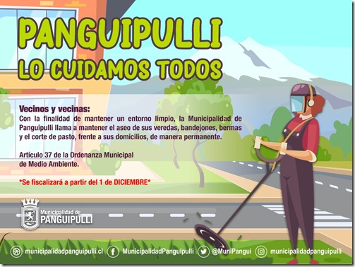 panguipulli lo cuidamos todos