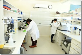 laboratorio uach