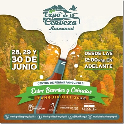 fiesta de la cerveza