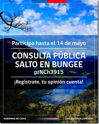 Consulta publica_bungee