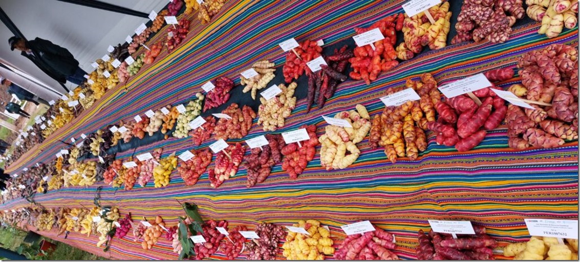 Cusco-02-1024x462