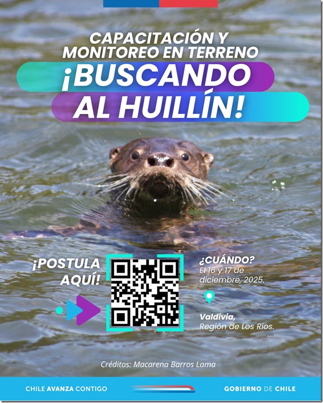 Huillin-1 Huillin-1