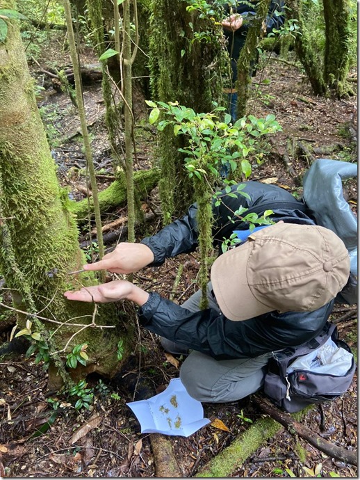 WhatsApp Image 2025-11-03 at 11.42.57 AM (1)