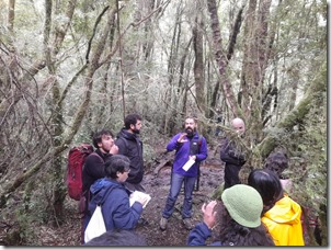 WhatsApp Image 2025-11-03 at 11.42.58 AM