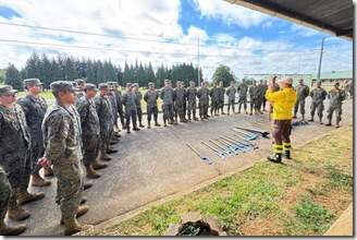 portada13_3693c29c53fba86.14494124