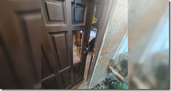 comercio-ilegal-57 (1)