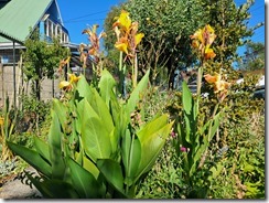 WhatsApp Image 2026-01-26 at 18.35.52 (26)