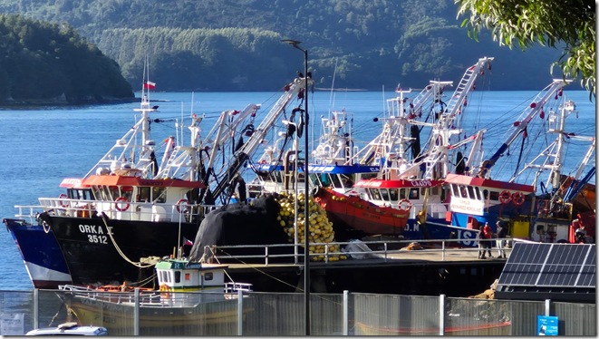 ferdarpel 1 Terminal Pesquero Niebla