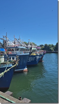 ferdarpel 2 costanera valdivia