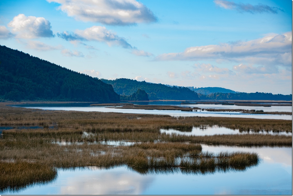 rio_cruces_desde_punucapa