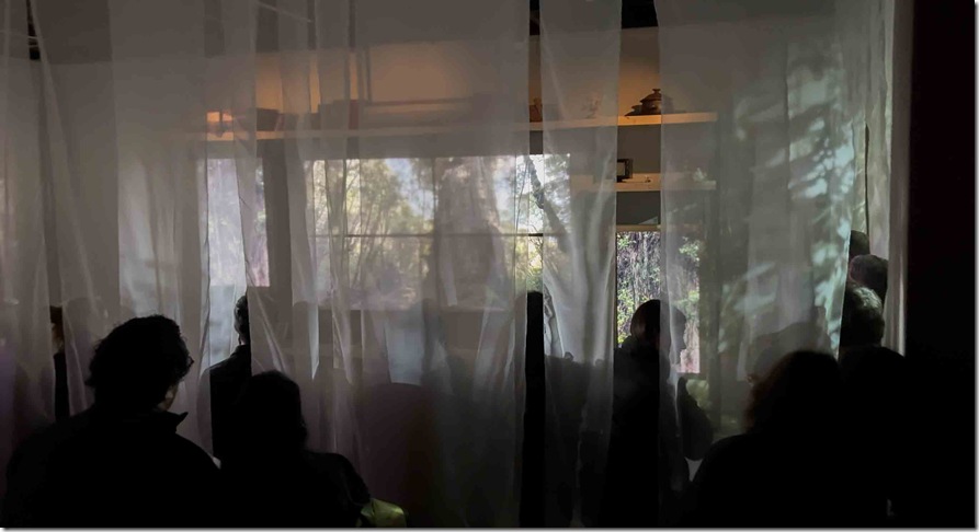 MUT Valdivia y Telsur inauguran _Voces del sur_ (5)