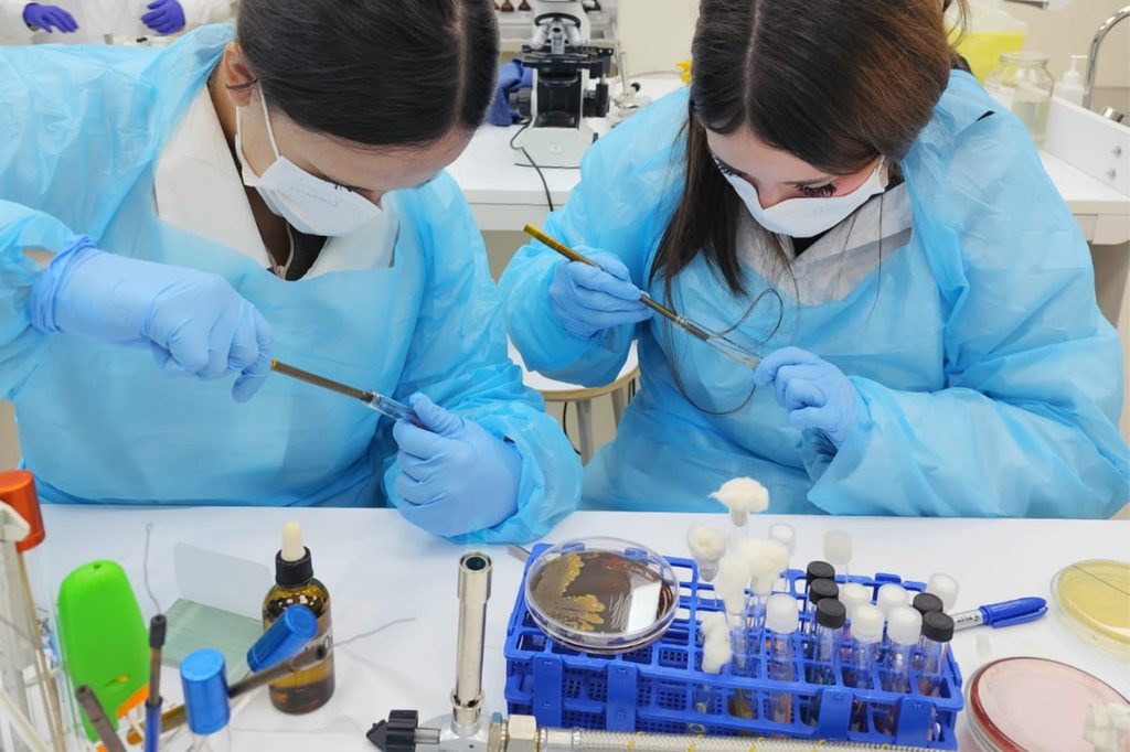 Estudiantes realizando análisis microbiológico en laboratorio junto a docente de la Universidad Santo Tomás
