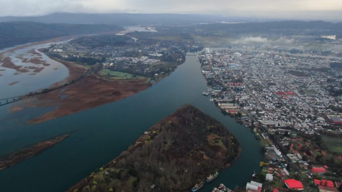 Humedal urbano en Valdivia, Chile, mostrando su vegetación y capacidad de absorción de agua.