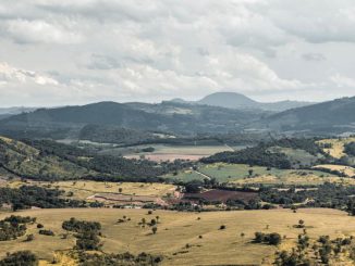 Cultivos saludables en un campo chileno mejorado con técnicas de nutrición natural y regeneración de suelo