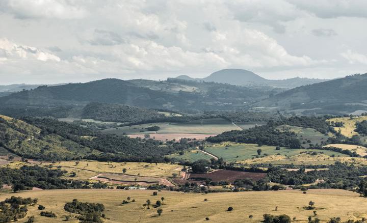 Cultivos saludables en un campo chileno mejorado con técnicas de nutrición natural y regeneración de suelo
