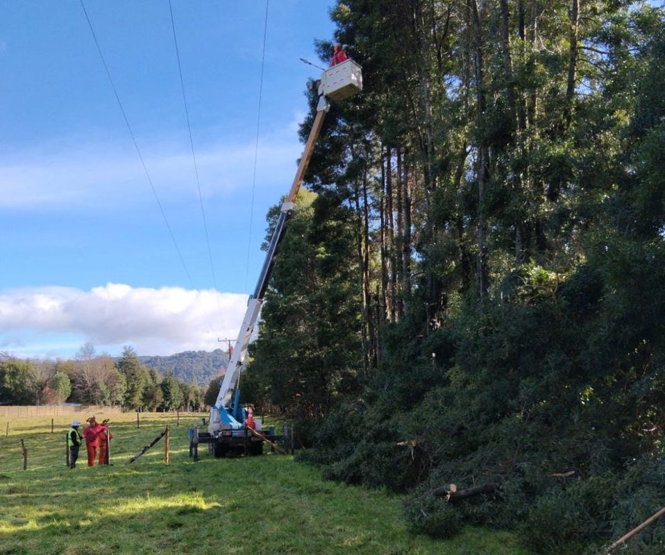 Brigada técnica de Saesa realizando labores de poda y despeje de vegetación bajo el tendido eléctrico en Valdivia.