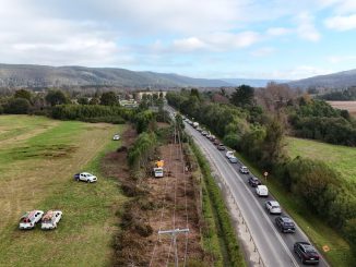 Brigada técnica de Saesa realizando labores de poda y despeje de vegetación bajo el tendido eléctrico en Valdivia.