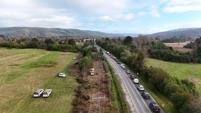 Brigada técnica de Saesa realizando labores de poda y despeje de vegetación bajo el tendido eléctrico en Valdivia.