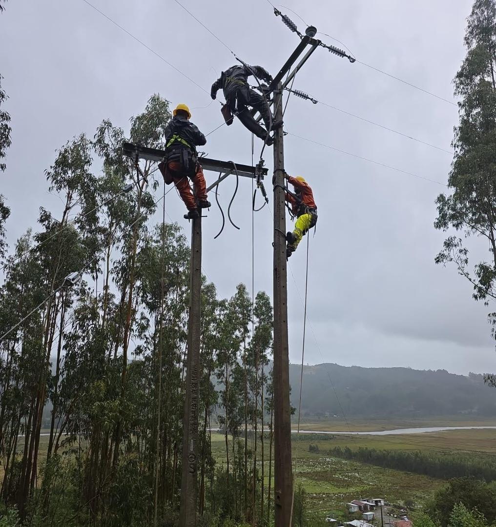 Trabajadores de Saesa realizando labores de mantenimiento en la red eléctrica con un cielo nublado de fondo.