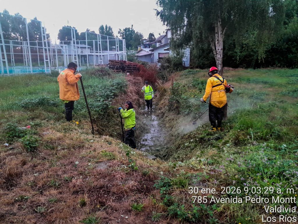 Equipos municipales de Valdivia realizando labores de limpieza y drenaje durante un temporal de lluvias.