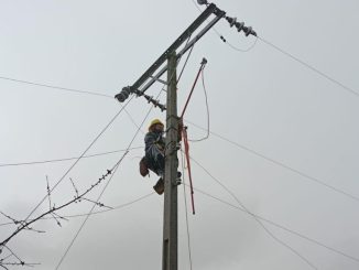 Brigadas de Saesa realizando reparaciones en líneas eléctricas tras el paso de un sistema frontal en la Región de Los Ríos.