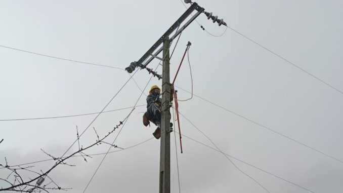Brigadas de Saesa realizando reparaciones en líneas eléctricas tras el paso de un sistema frontal en la Región de Los Ríos.