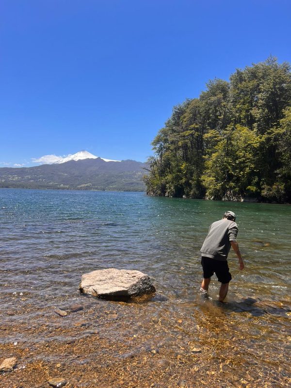 Planaria de agua dulce sobre una roca mostrando su estructura biológica