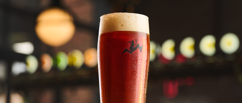 Botellas de cerveza Kross premiadas en los World Beer Awards 2026 junto a elementos de pisco Malpaso.