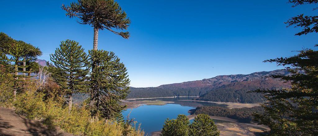 Paisaje natural de un parque nacional en Chile con vegetación nativa y montañas