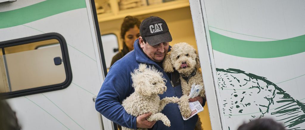 Personal veterinario realizando procedimientos en la clínica móvil municipal de Valdivia