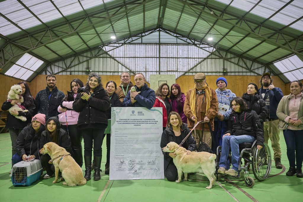 Personal veterinario realizando procedimientos en la clínica móvil municipal de Valdivia