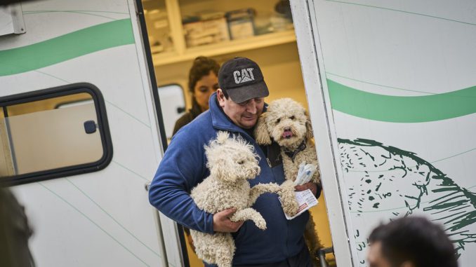 Personal veterinario realizando procedimientos en la clínica móvil municipal de Valdivia