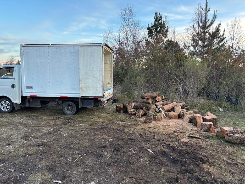 Camión incautado por la PDI tras procedimiento de robo de madera en el Santuario de la Naturaleza Llancahue.