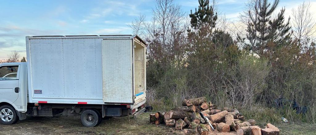 Personal de la PDI incauta maquinaria y madera extraída ilegalmente del Santuario de la Naturaleza Llancahue en Valdivia
