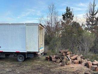 Personal de la PDI incauta maquinaria y madera extraída ilegalmente del Santuario de la Naturaleza Llancahue en Valdivia