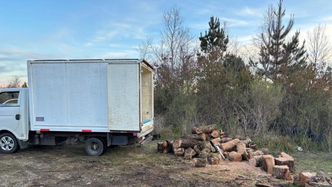 Personal de la PDI incauta maquinaria y madera extraída ilegalmente del Santuario de la Naturaleza Llancahue en Valdivia