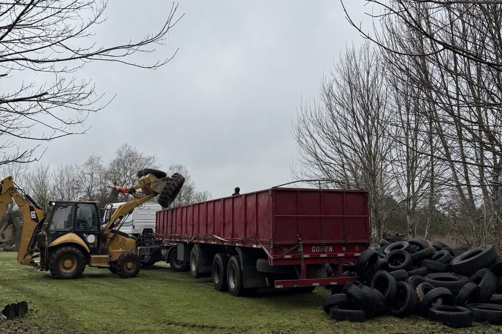 Personal municipal gestionando el retiro y reciclaje de neumáticos en desuso en Valdivia