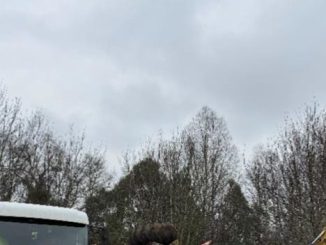 Personal municipal gestionando el retiro y reciclaje de neumáticos en desuso en Valdivia