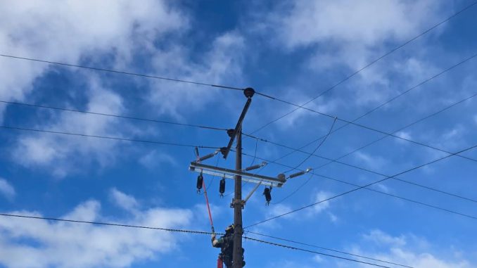 Personal técnico de Saesa monitoreando el estado de las redes eléctricas durante un día de lluvia en la región de Los Ríos.