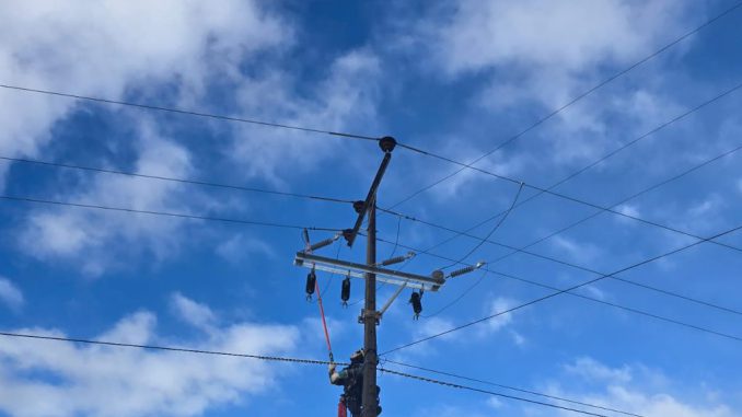 Personal técnico de Saesa monitoreando redes eléctricas ante llegada de sistema frontal en el sur de Chile