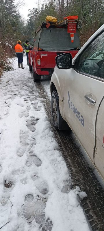 Brigadas de Saesa trabajando en el terreno bajo condiciones de nieve para reparar redes eléctricas