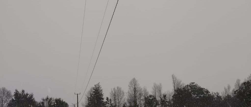 Brigadas de Saesa trabajando en el terreno bajo condiciones de nieve para reparar redes eléctricas