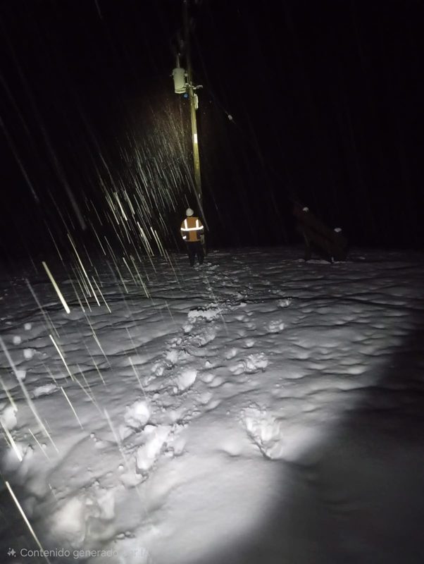 Brigadas de Saesa trabajando en el terreno bajo condiciones de nieve para reparar redes eléctricas