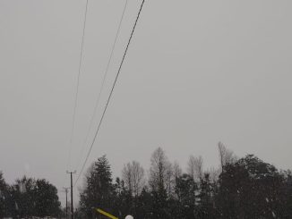 Brigadas de Saesa trabajando en el terreno bajo condiciones de nieve para reparar redes eléctricas