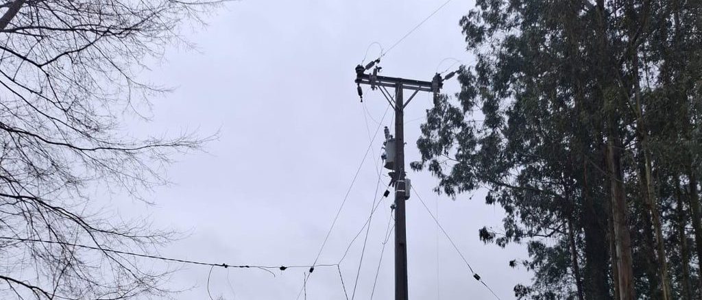 Trabajadores de brigadas eléctricas de Saesa reparando tendido afectado por caída de árboles tras temporal en Los Ríos